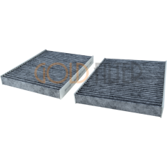 BMW 5 (F10) (2010 >…) - 6 (F12) (2011 >…) Karbonlu Polen Filtresi