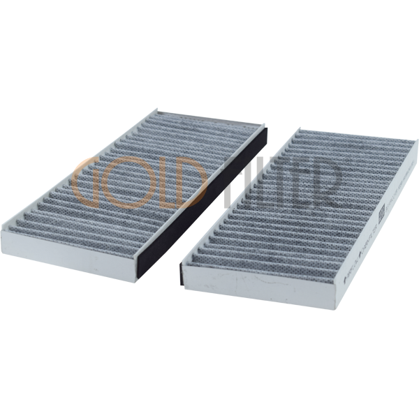 Nissan Navara (D40) (2005 >…) - Pathfinder (1997 >…) Karbonlu (Çiftli) Polen Filtresi